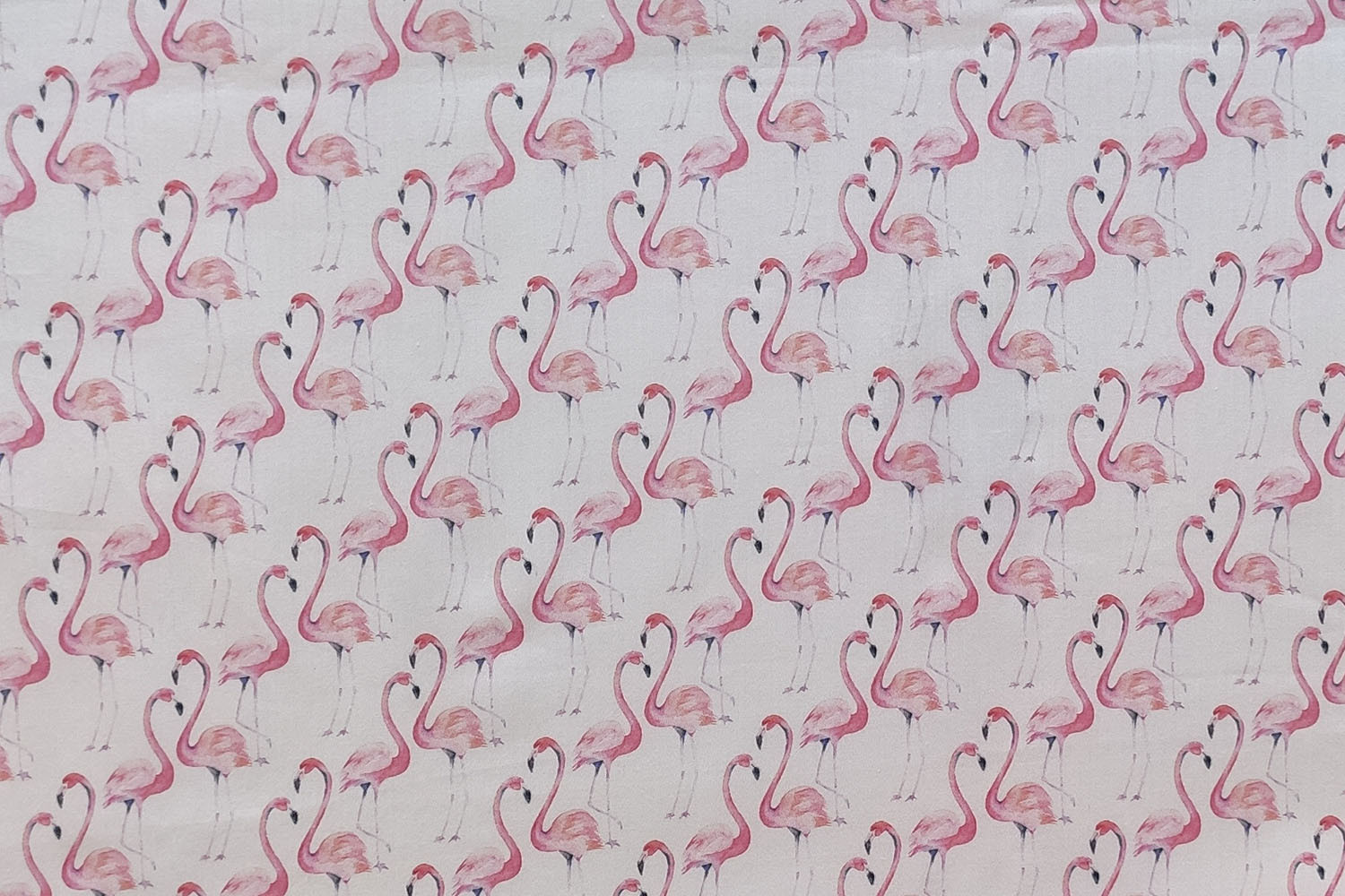 Flamingo Power_Rosa