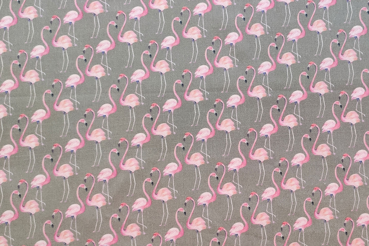 Flamingo Power_Gris